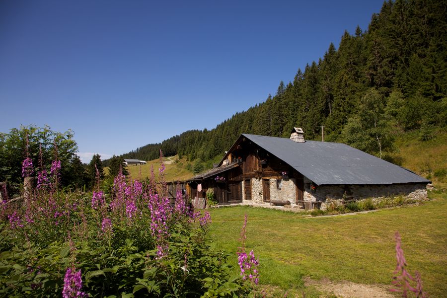 le-planay-bisanne-1500