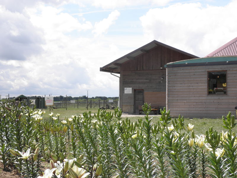 Les cueillettes du Plessis à Lumigny, 2011