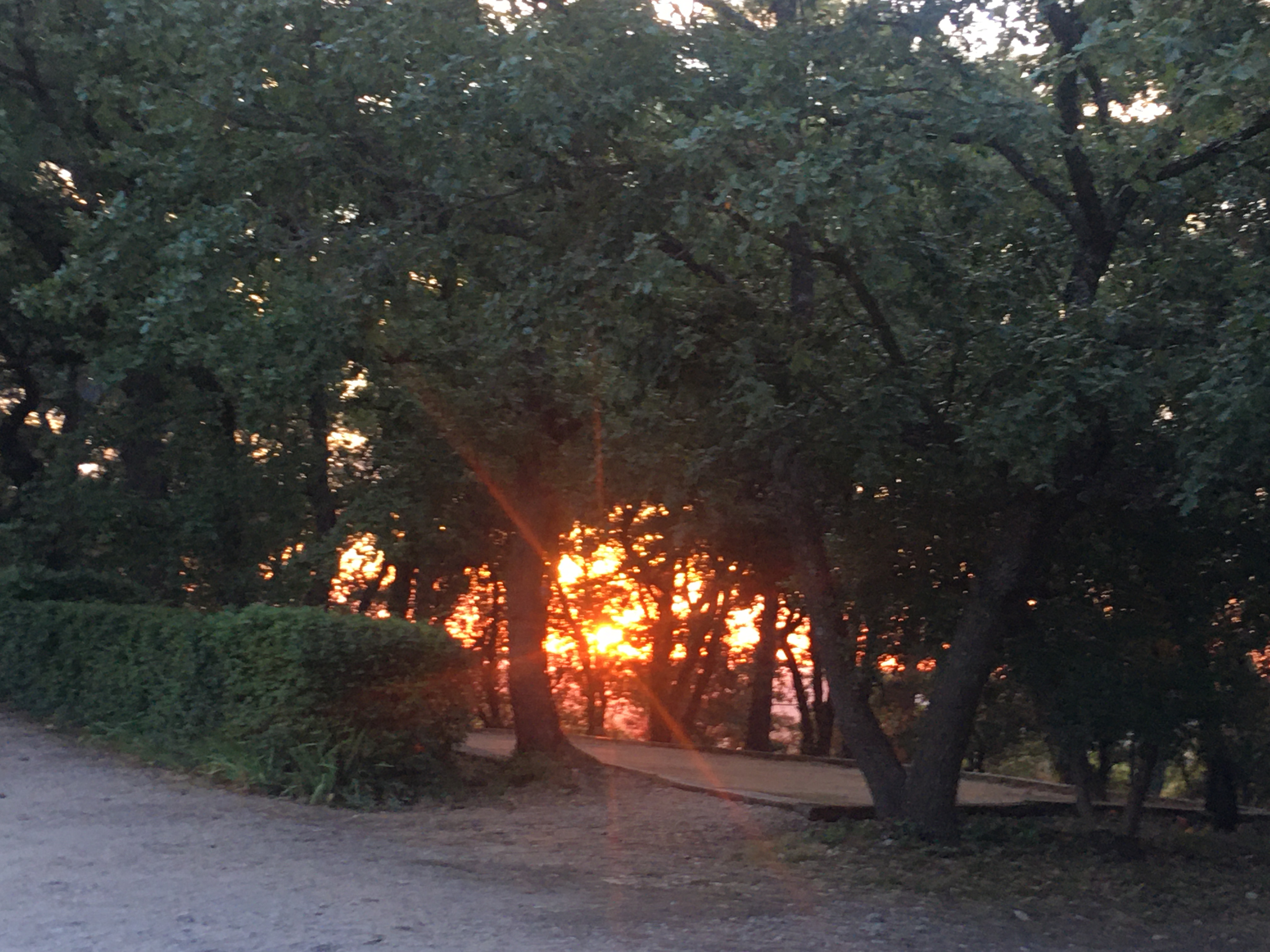 Domaine de Valfrais, Simiane-Collongue - photo 27