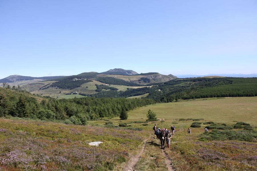 Massif Central Randonnées +
