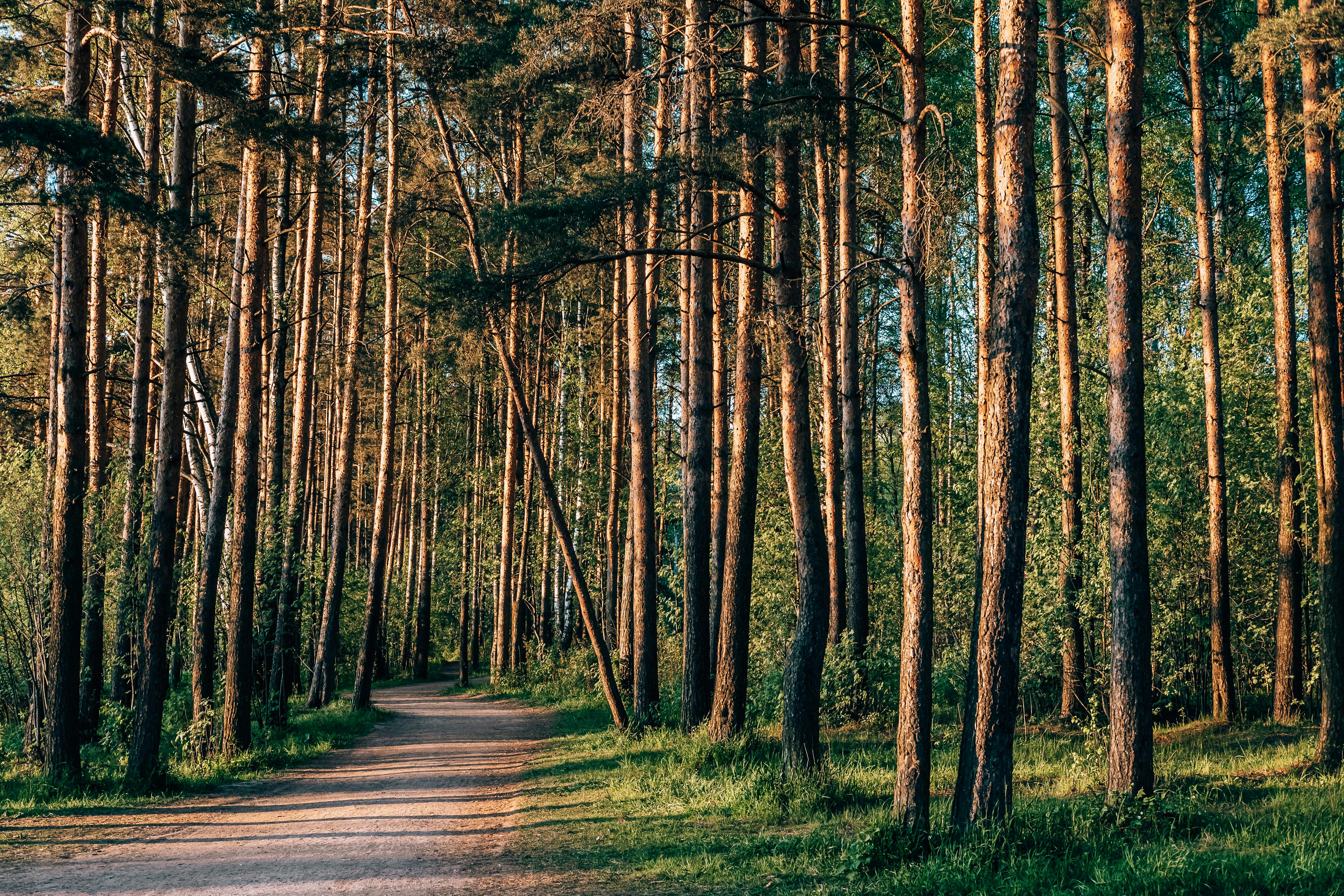 Circuit Gravel N°16 - Saint-Philbert-du-Peuple