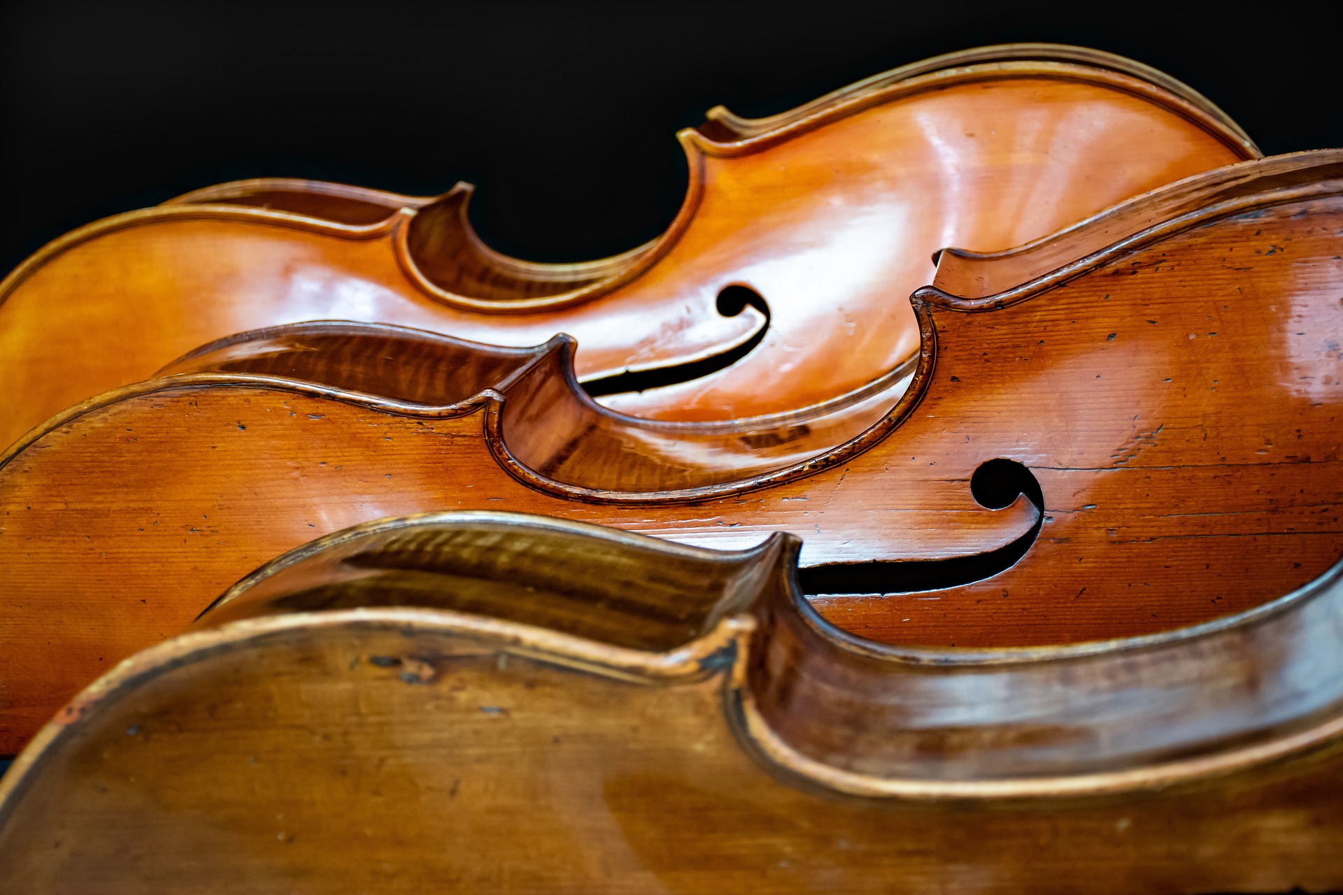 violoncelles