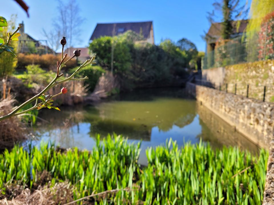 Mare Gometz-le-Chu00e2tel
