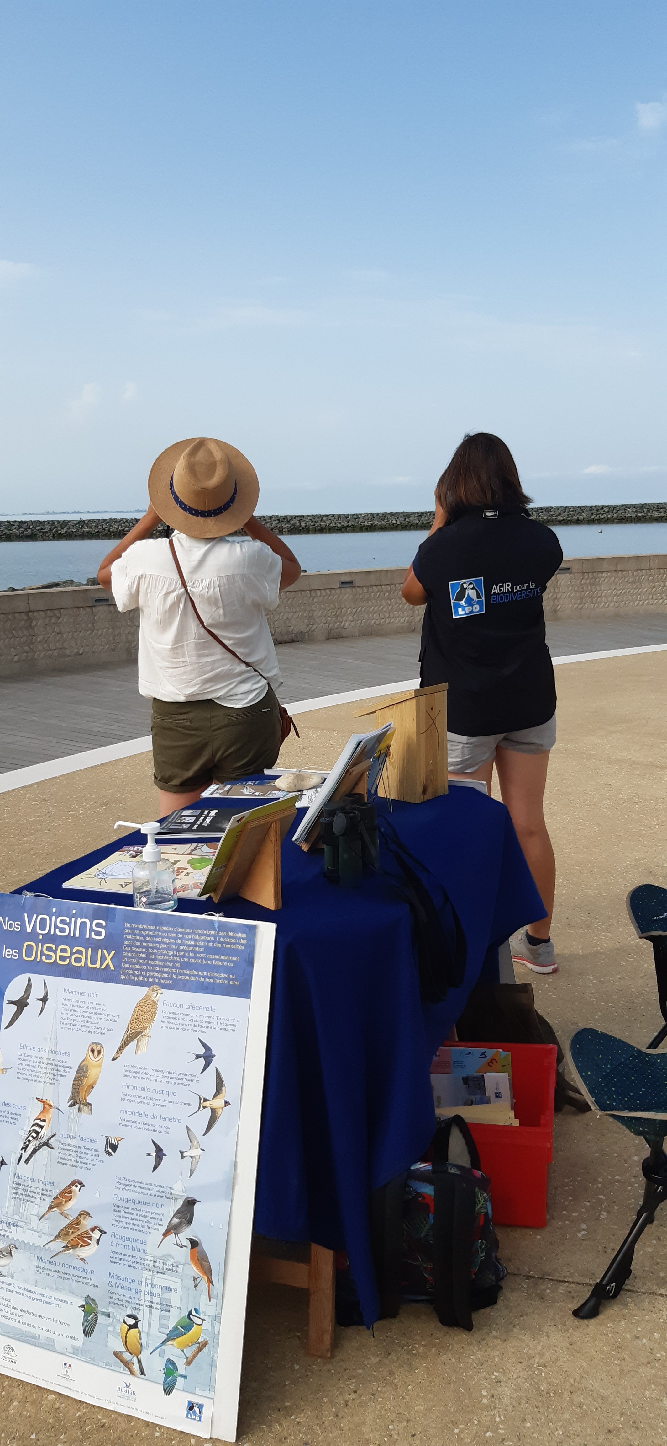 Point de vue sur les oiseaux du bord de mer