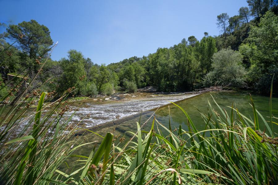 Ecluse sur l'Argens_Correns