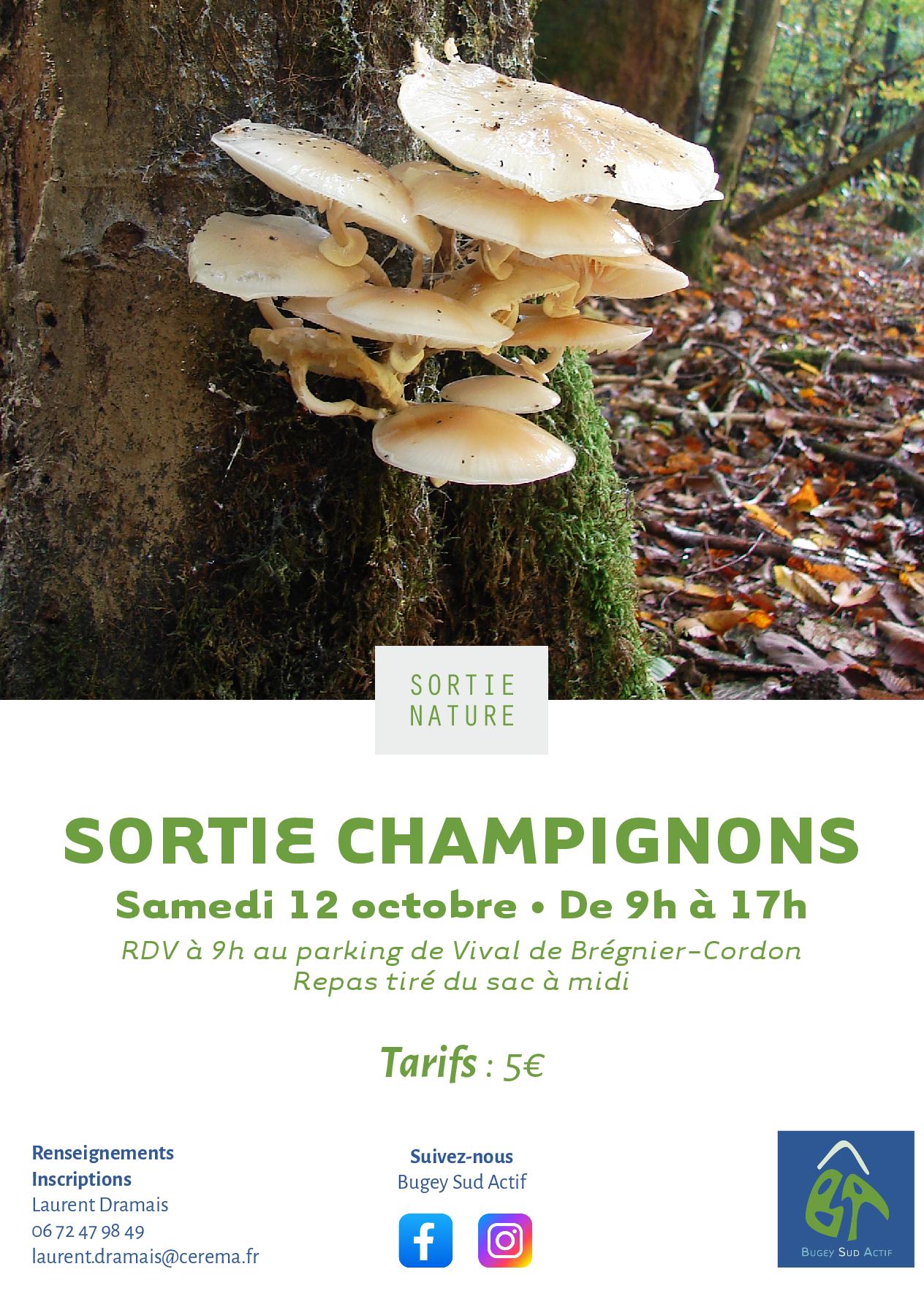 Sortie champignons à Bregnier Cordon