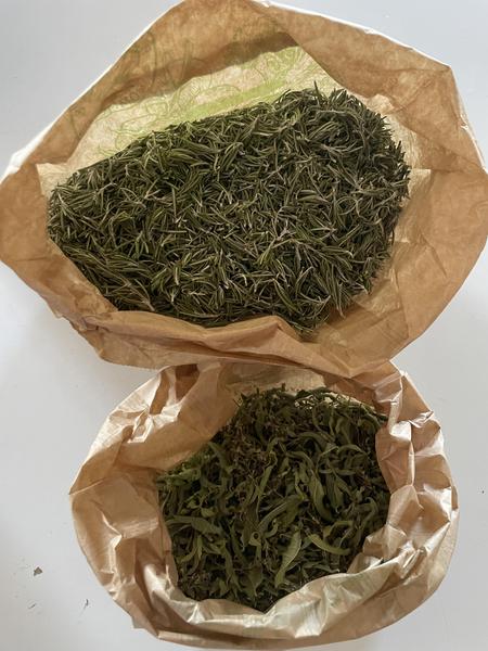 Atelier du petit cueilleur-herboriste