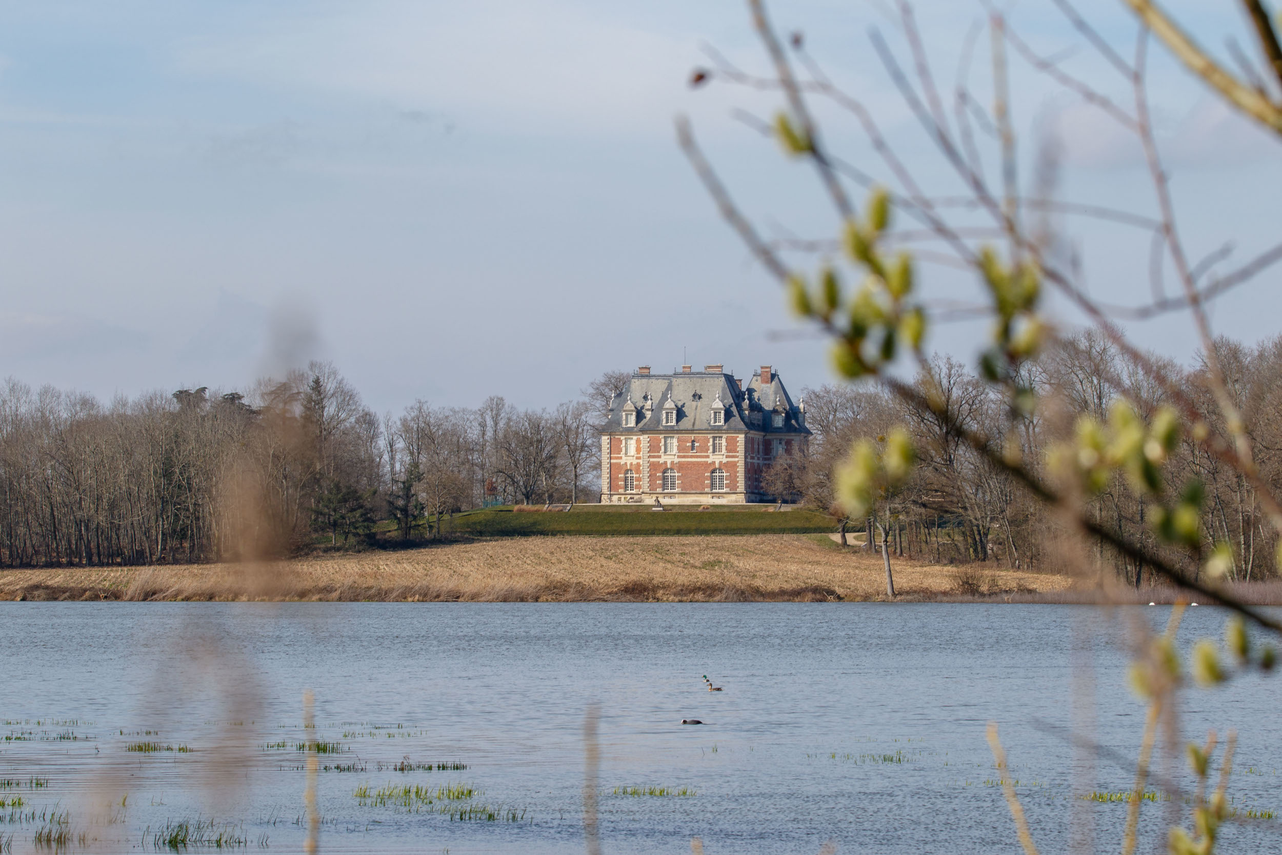 Chateau de Joyeux et son étang