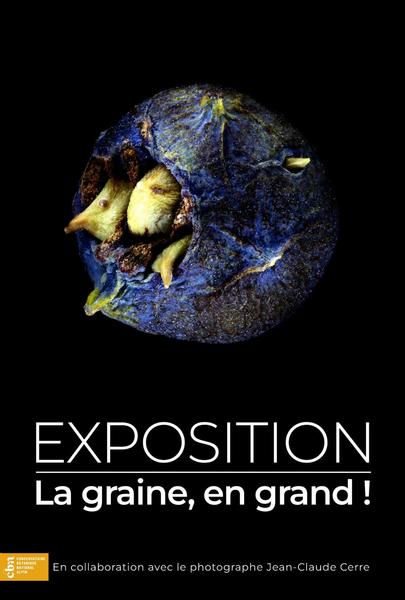 Exposition : La graine, en grand !
