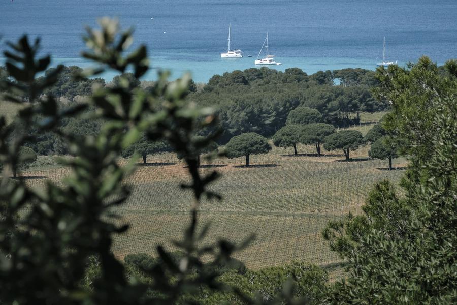 Forfait Porquerolles : Bateau + Vélo + Resto_Hyères