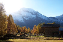 Hameau du Monal à Sainte-Foy