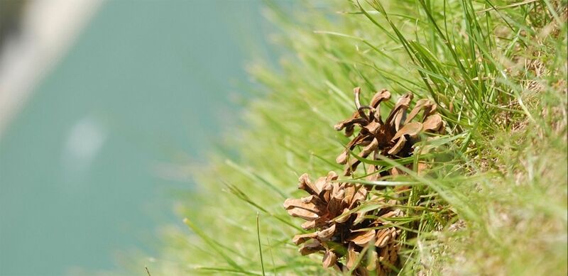 Camping de la Plage - Alpes, Vercors et Trièves