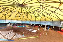 Stages équitation enfants