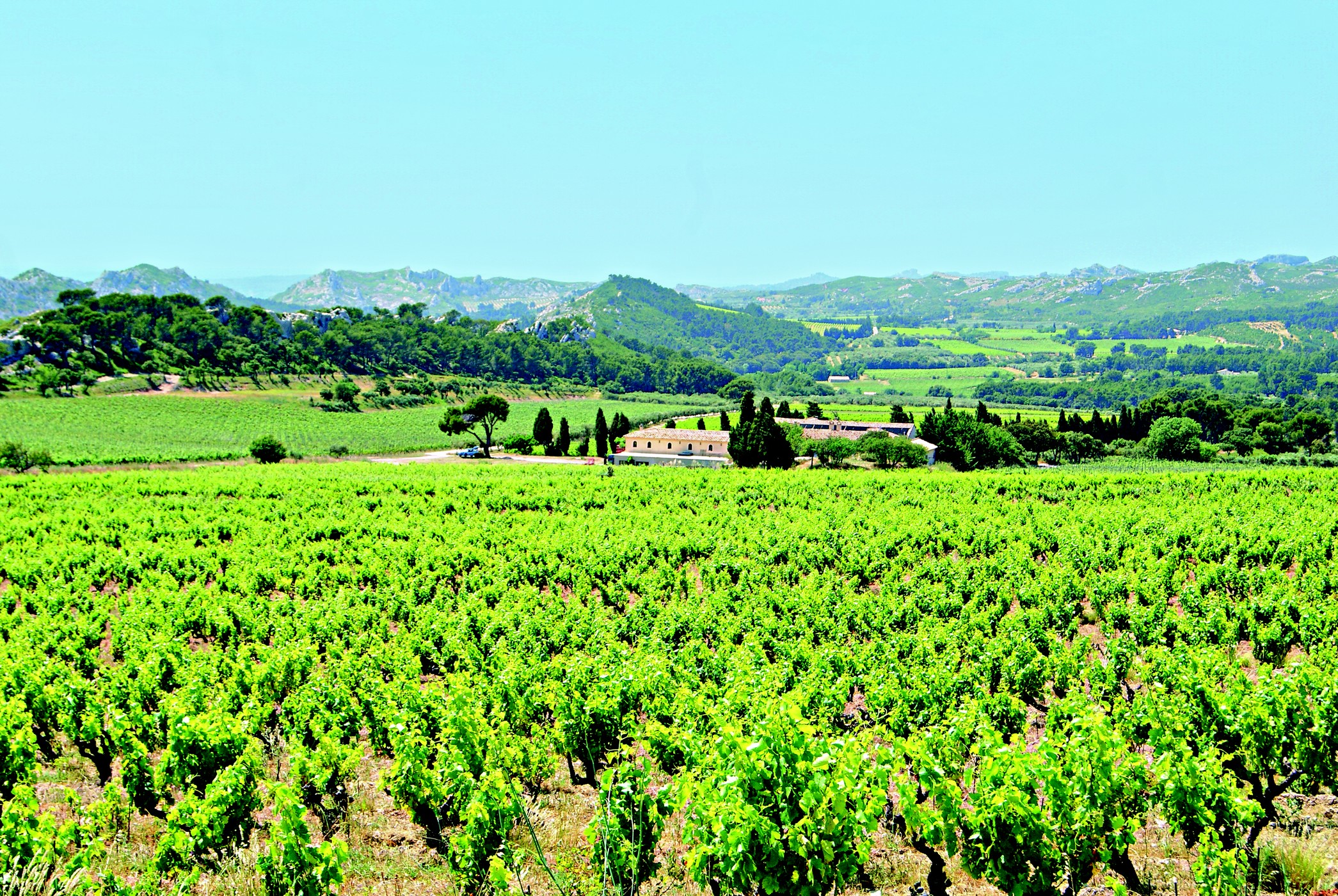 Domaine de Lauzières - photo 5