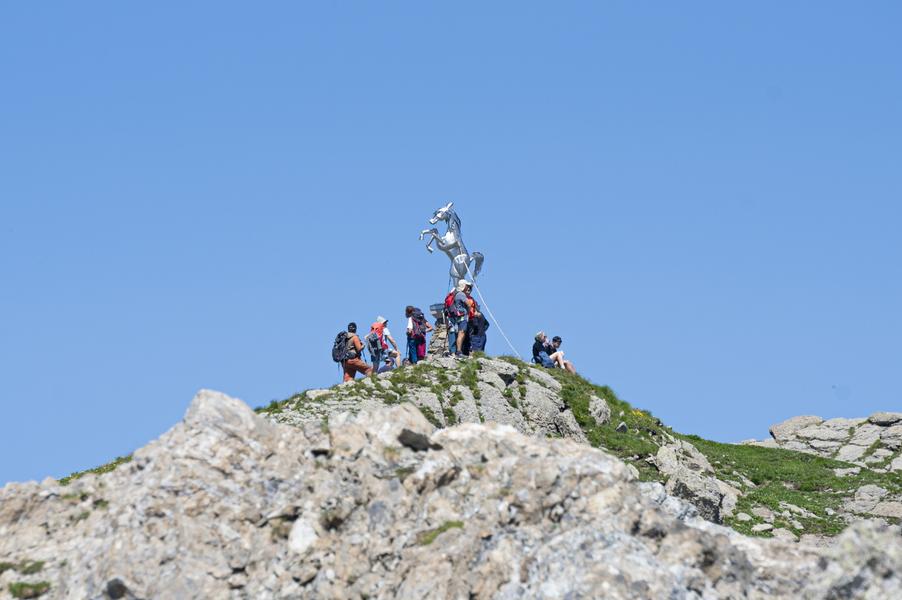 Sentier été : Le cheval Noir (Sauce)_Les Belleville