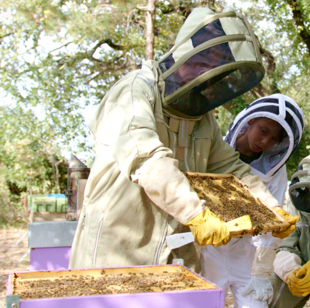 Des activités insolites !