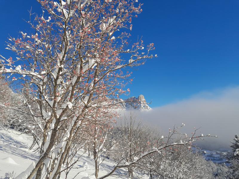 Randonnée en raquettes avec Marc Vanpé