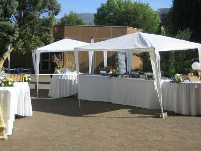 Etoile de la Valentine — photo 3