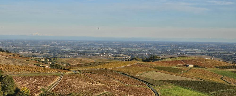Mobylette beaujolais randonnée domaine Christophe SAVOYE