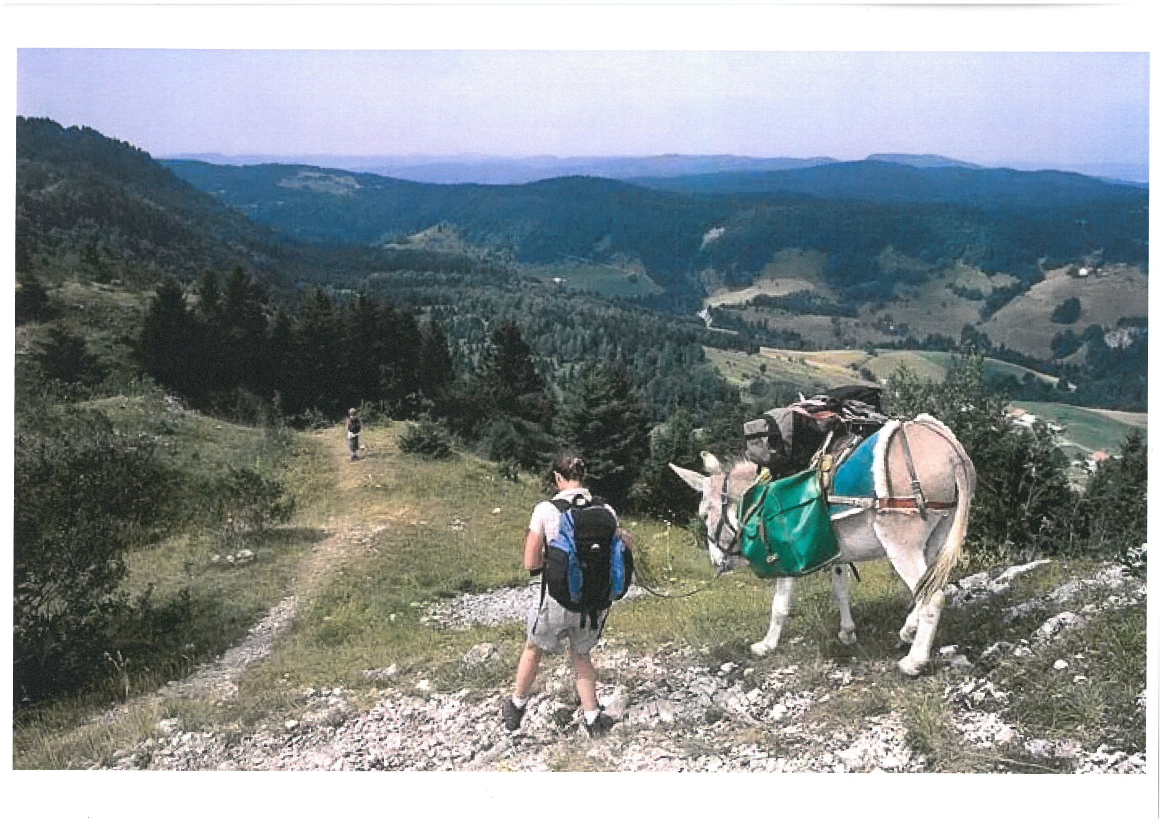 Promenades avec Ali, âne de bât