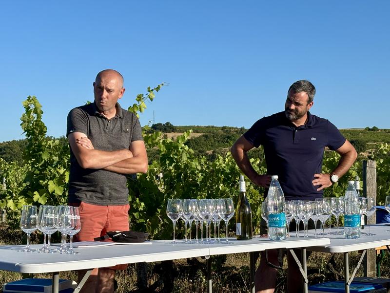 Apéro sunset dans les vignes - Domaines d'Aniello et Vallet_Félines