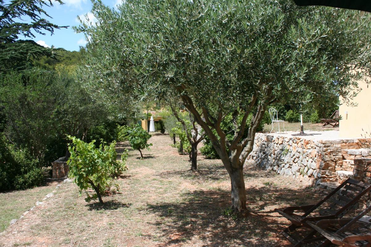 Les Aludes 3, La Destrousse - photo 15