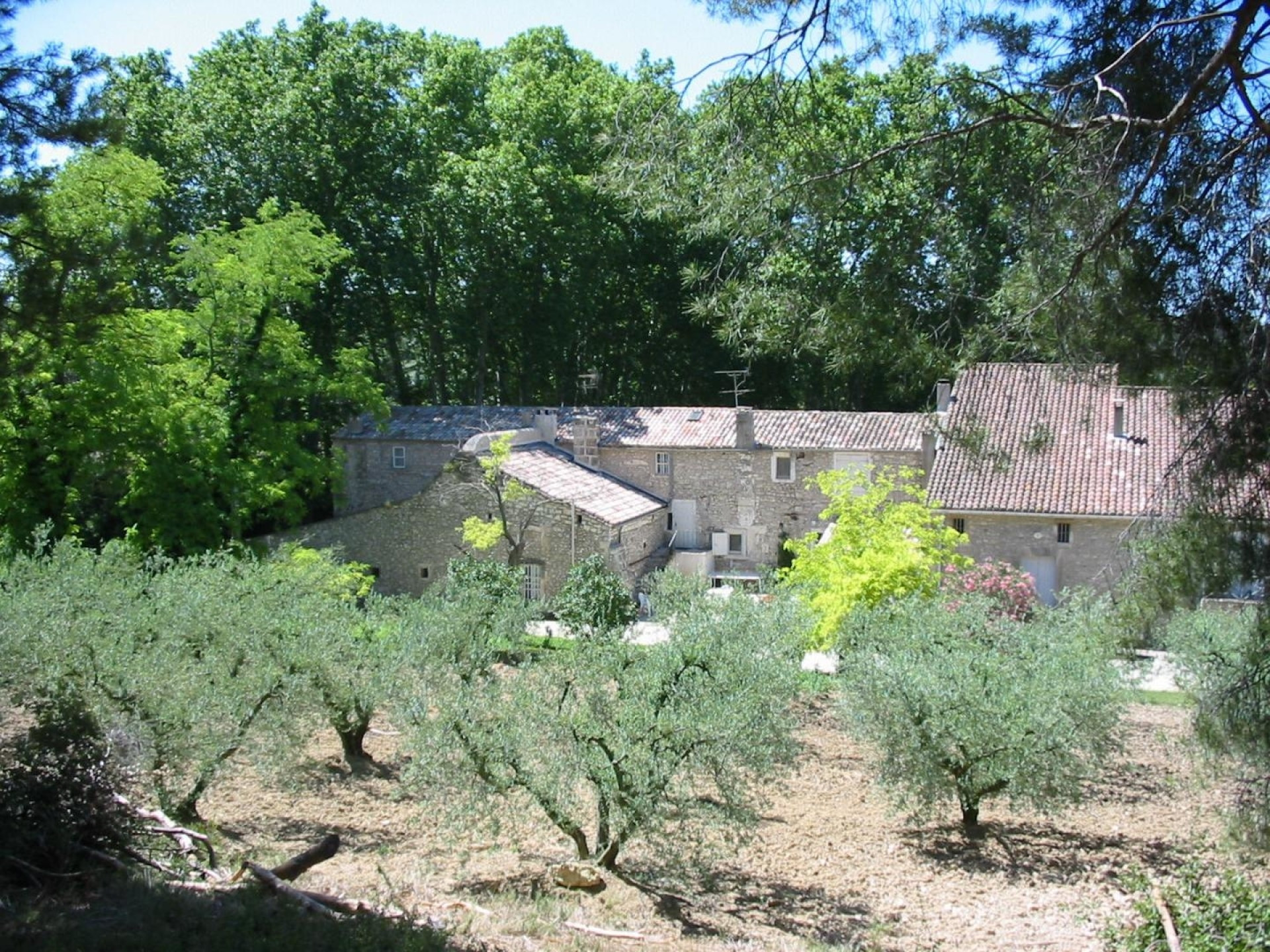Le Mas Saint Roman - La pichoulino, Maussane-les-Alpilles - photo 24