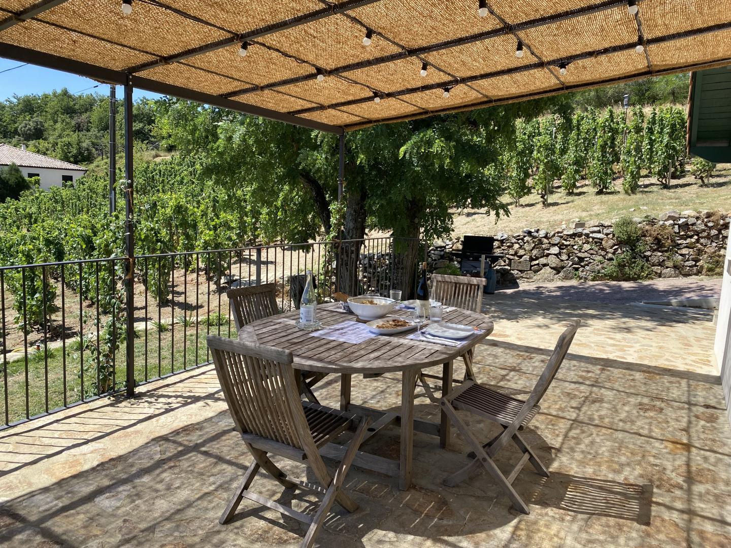 Coin repas sur la terasse - Plancha au pied de la vigne