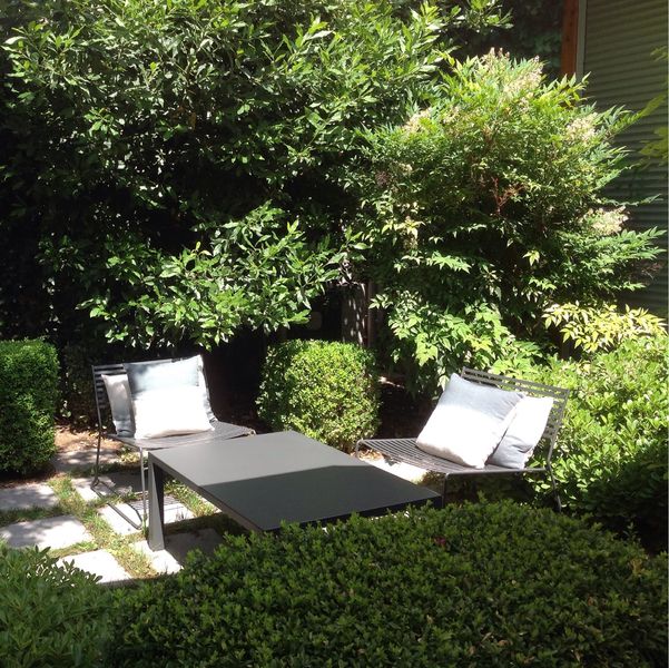 Les Zins et les Hôtes - Romans