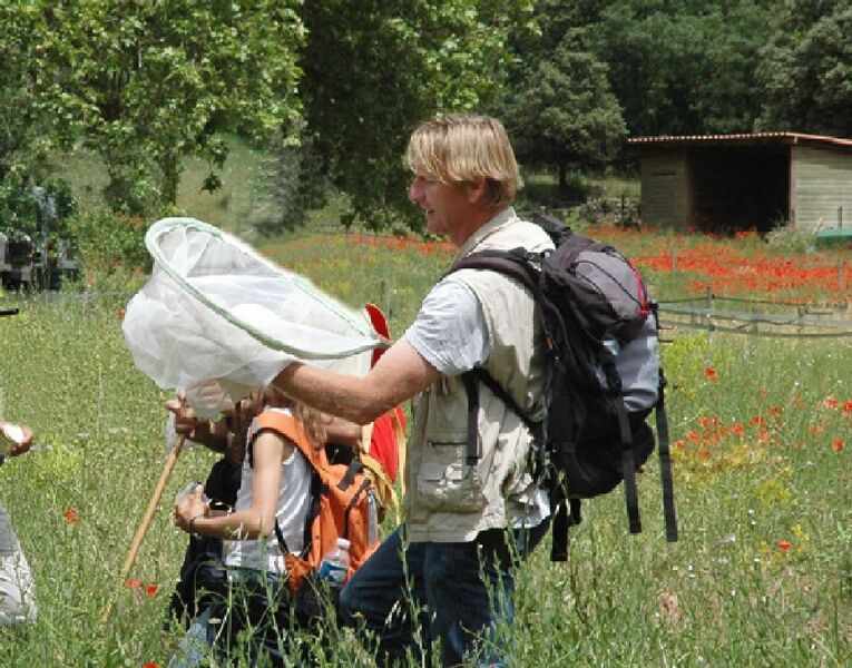 Sortie insectes au Vallon Sourn