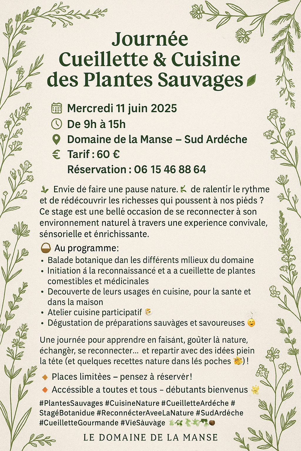 Journée Cueillette & Cuisine des Plantes Sauvages à Villeneuve-de-Berg