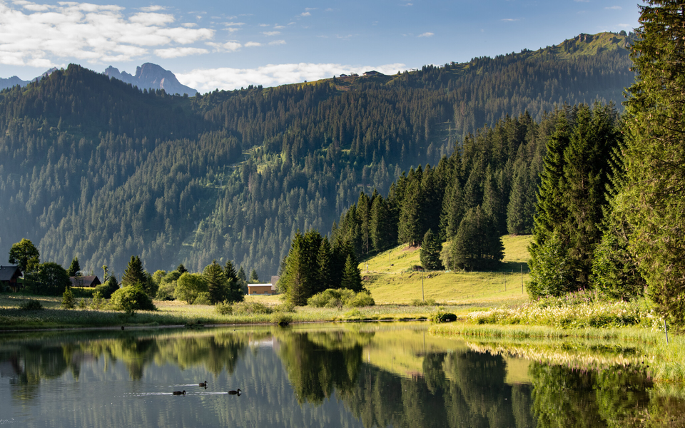 Morgins -  Lac de Morgins_Morgins