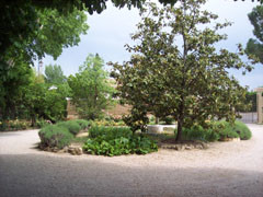 Provençal, Eyguières - photo 3