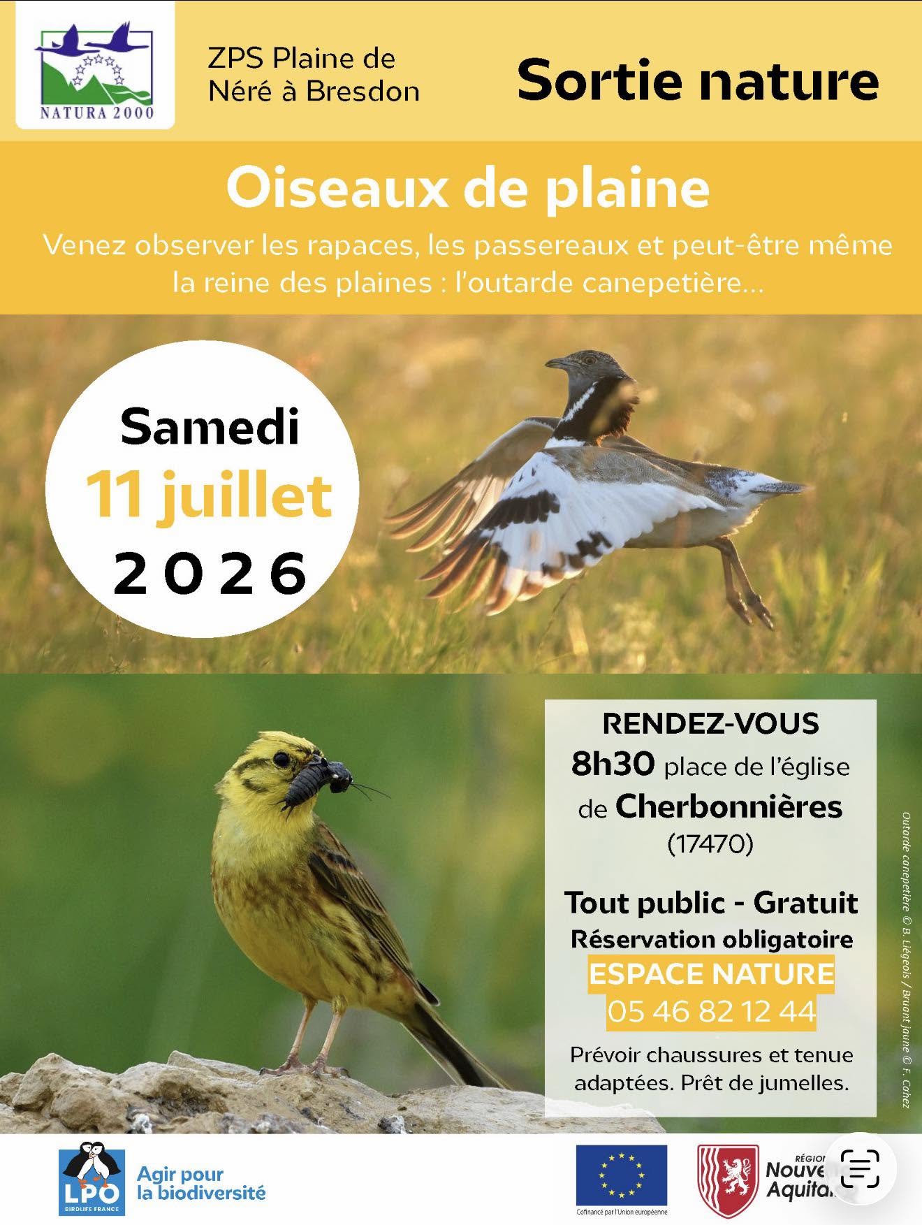 Sortie Nature - Oiseaux de la Plaine