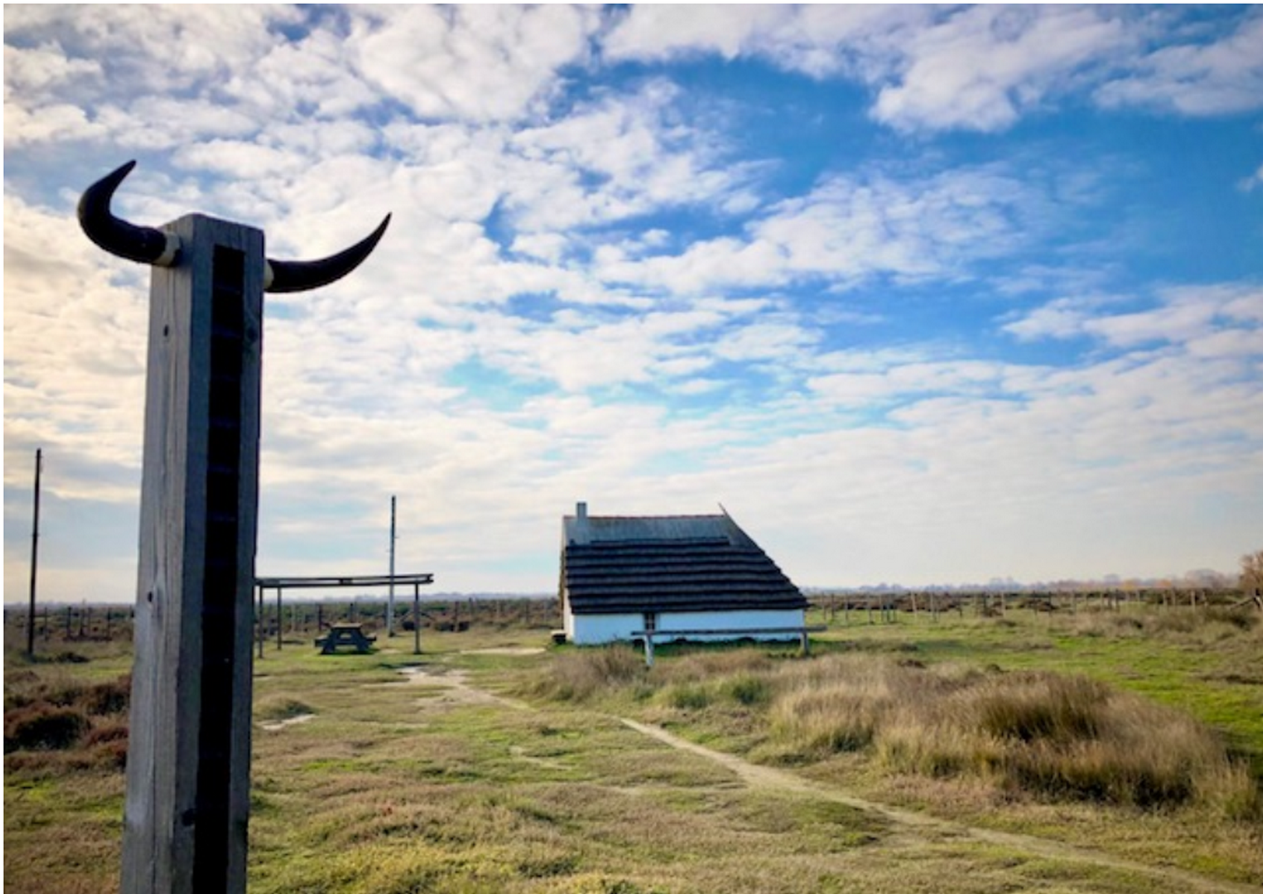 Journées européennes du patrimoine au Musée de la Camargue