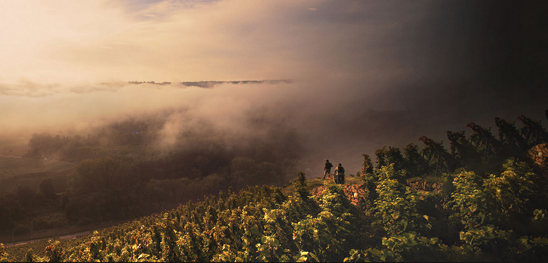 Les chaillées de l&rsquo;enfer | Rencontre avec le réalisateur et deux femmes vigneronnes