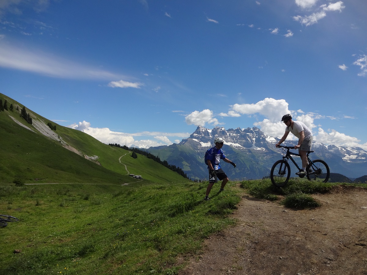 Mountain biking, downhill, enduro