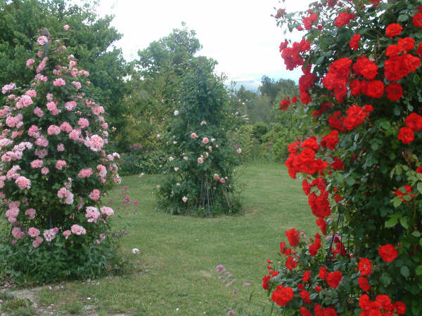 Jardin des 5 sens et des formes premières