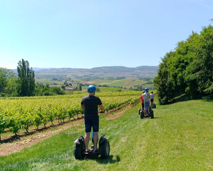 Mobilboard Beaujolais