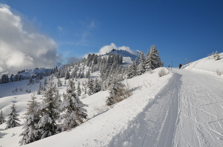 Ski sur neige fraiche sur Les Portes du Mont-Blanc