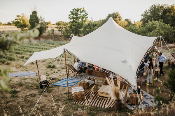 Visite d'un champ de Lavande Aix en Provence