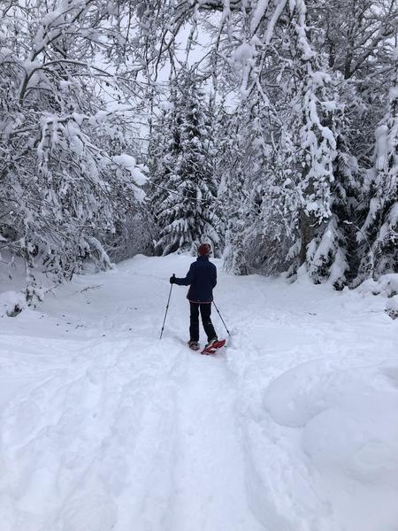 Sentier raquettes balisé du plateau de la Charniaz_Morillon