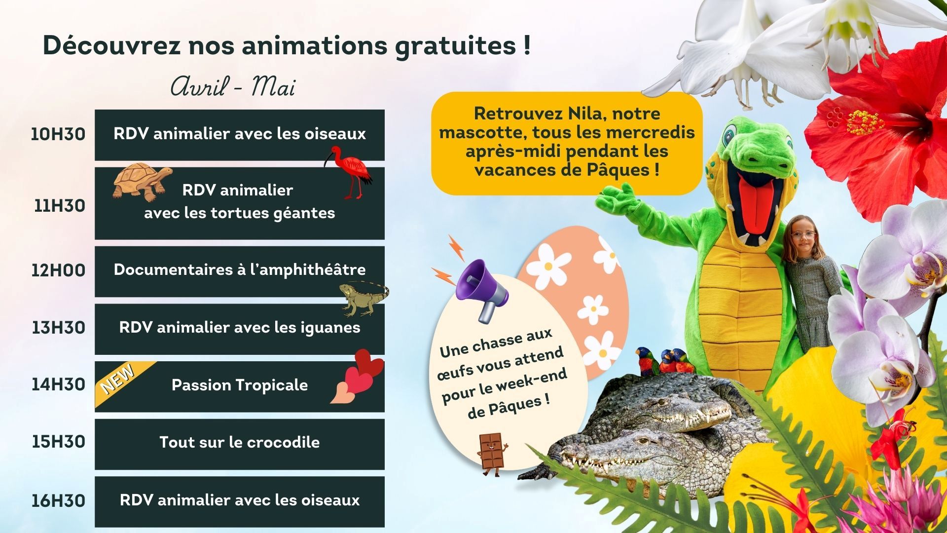 Animations de Printemps