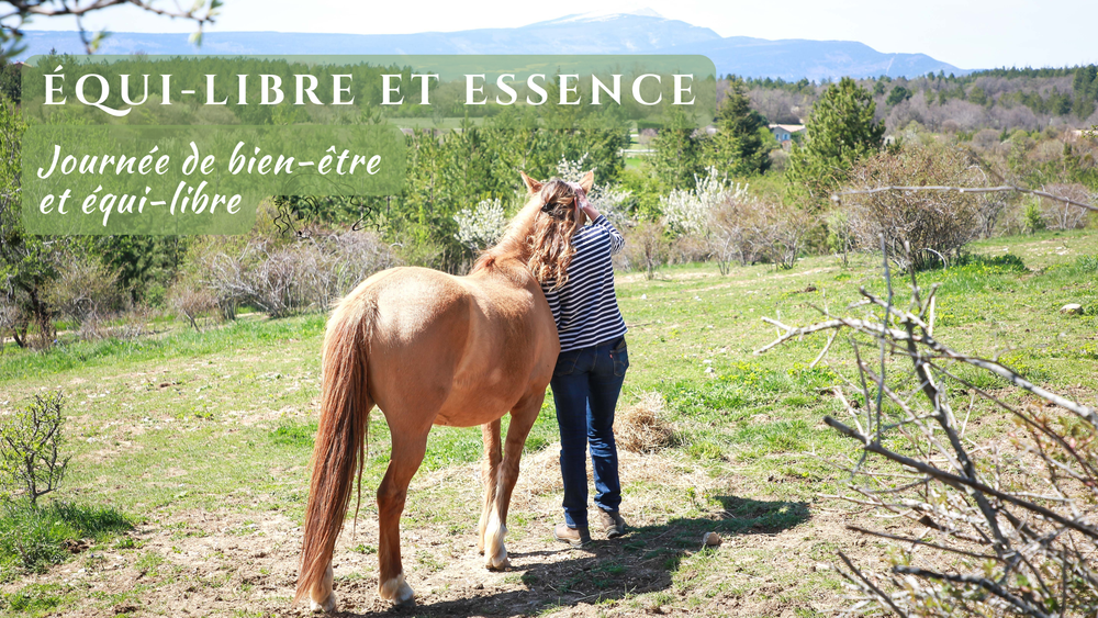 Annonce Journée bien-être - équi-libre et essence