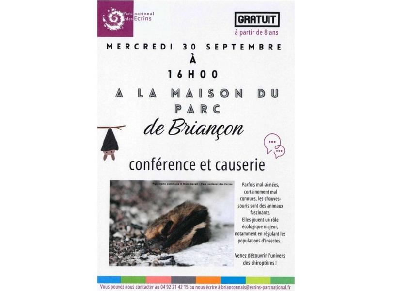 Rdv nature : découvrez l’univers des chiroptères
