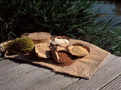 Conservatoire Grand Sud des cuisines de terroir