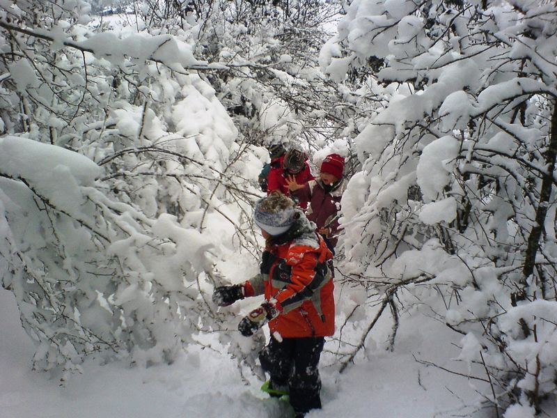 pttis montagnards correncon