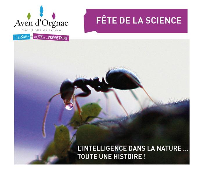 atelier sous-bois aven dorgnac