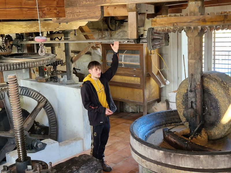 MOULIN A VENT DU CLUZELET (Jonzac): Ce qu'il faut savoir pour votre visite  (avec photos)