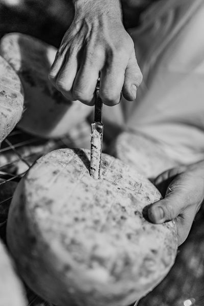 Fromagerie Ebrard - © Alpes Photographies